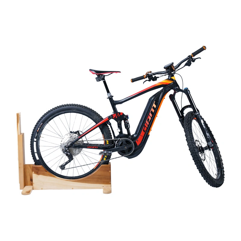 bici acostada alta